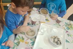 IMG_20250326_095909