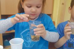 IMG_20250326_100201