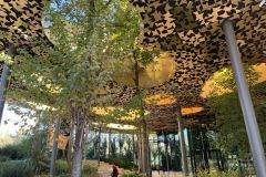 Messenger_creation_E4D36819-3354-47BF-8898-EF143E08FE63